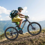 Dual Full Suspension Mountain Bike,