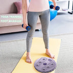 Body Shaping Waist Twisting Disc Magnetic Trainer