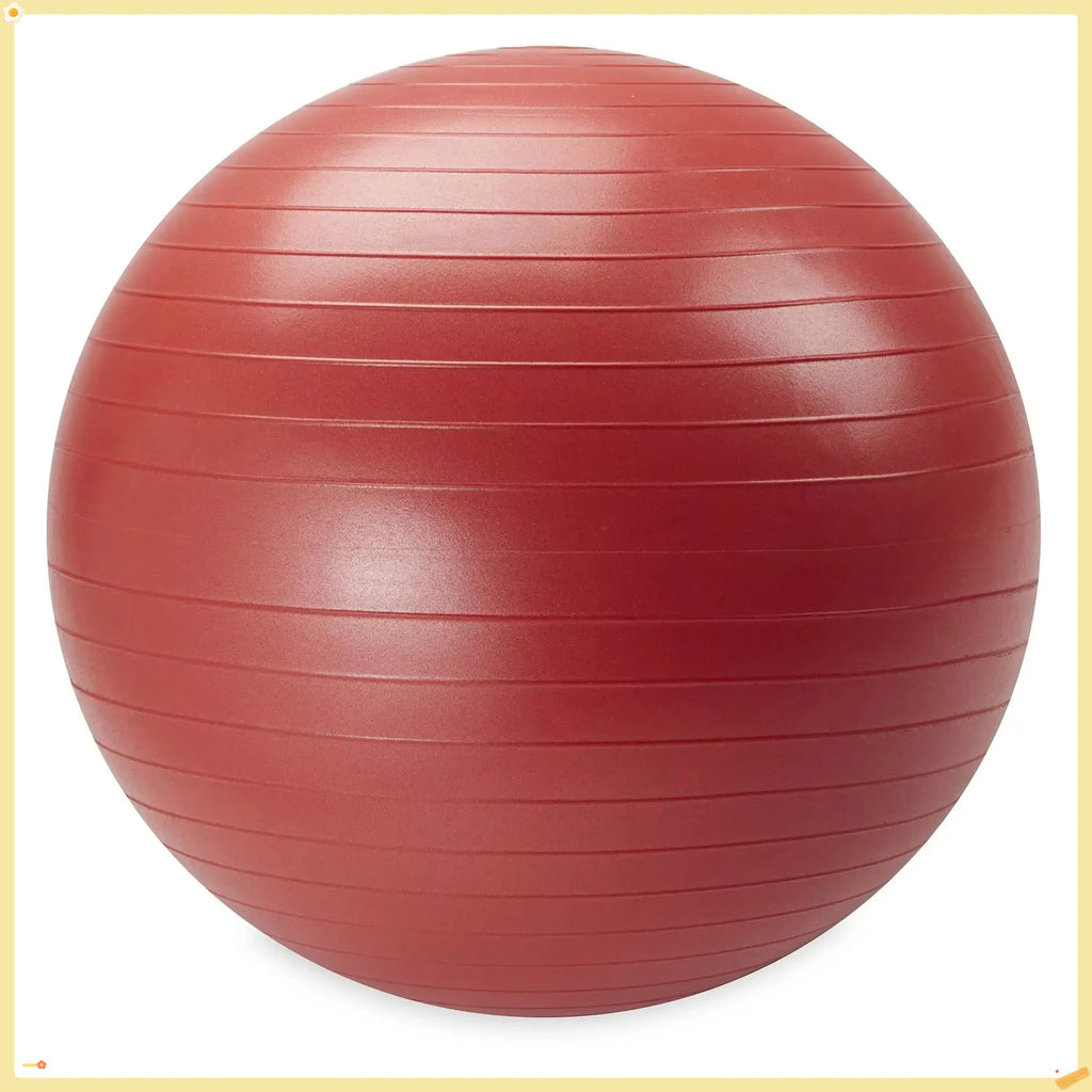 Weighted Stability Ball with Pump for Core Training