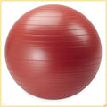 Weighted Stability Ball with Pump for Core Training