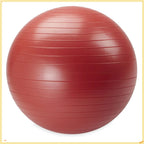 Weighted Stability Ball with Pump for Core Training