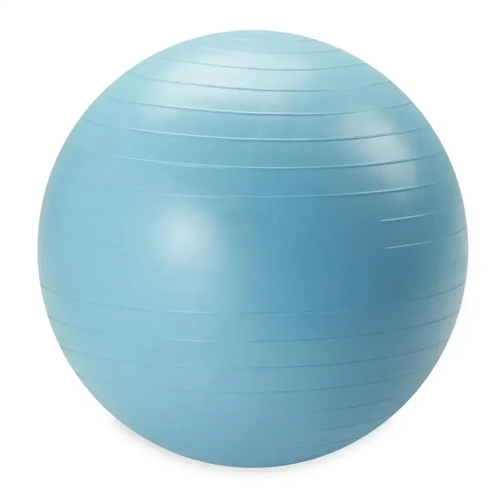 Weighted Stability Ball with Pump Included