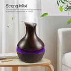 Aromatherapy Air Humidifier with LED Oil Diffuser