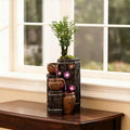 Succulent Growing Fountain with  LED Changing Lights